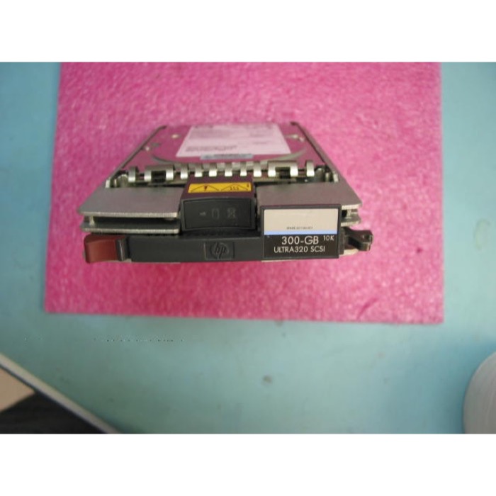 HP 300Gb U320